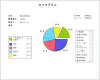 円グラフによる診断結果